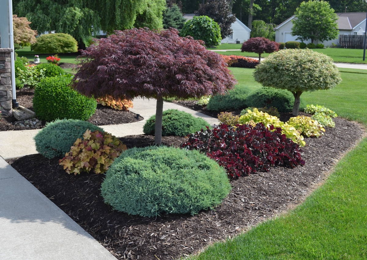 Landscape Design in Westhartford project 7
