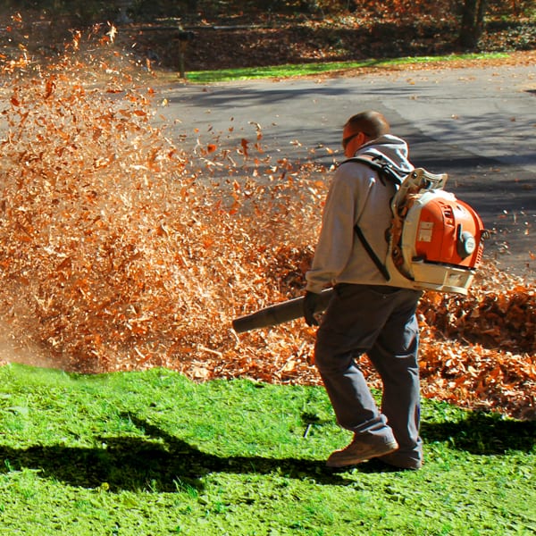 Leaf Removal in Westhartford project 4