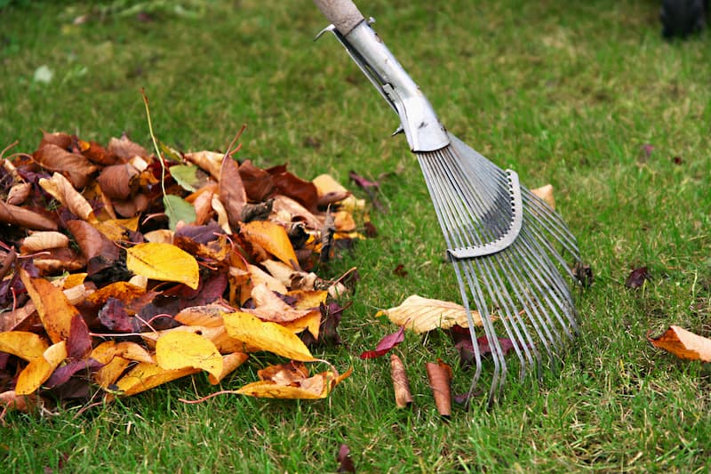 Leaf Removal in Westhartford project 5