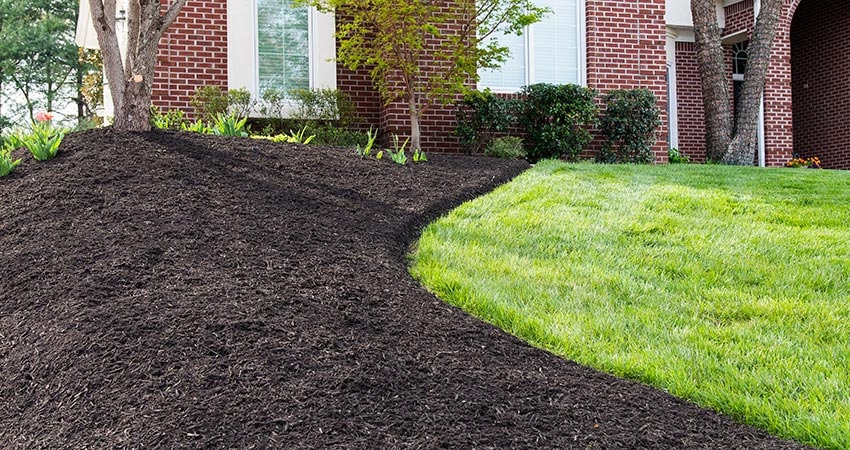 Mulch Installation in Westhartford project 2