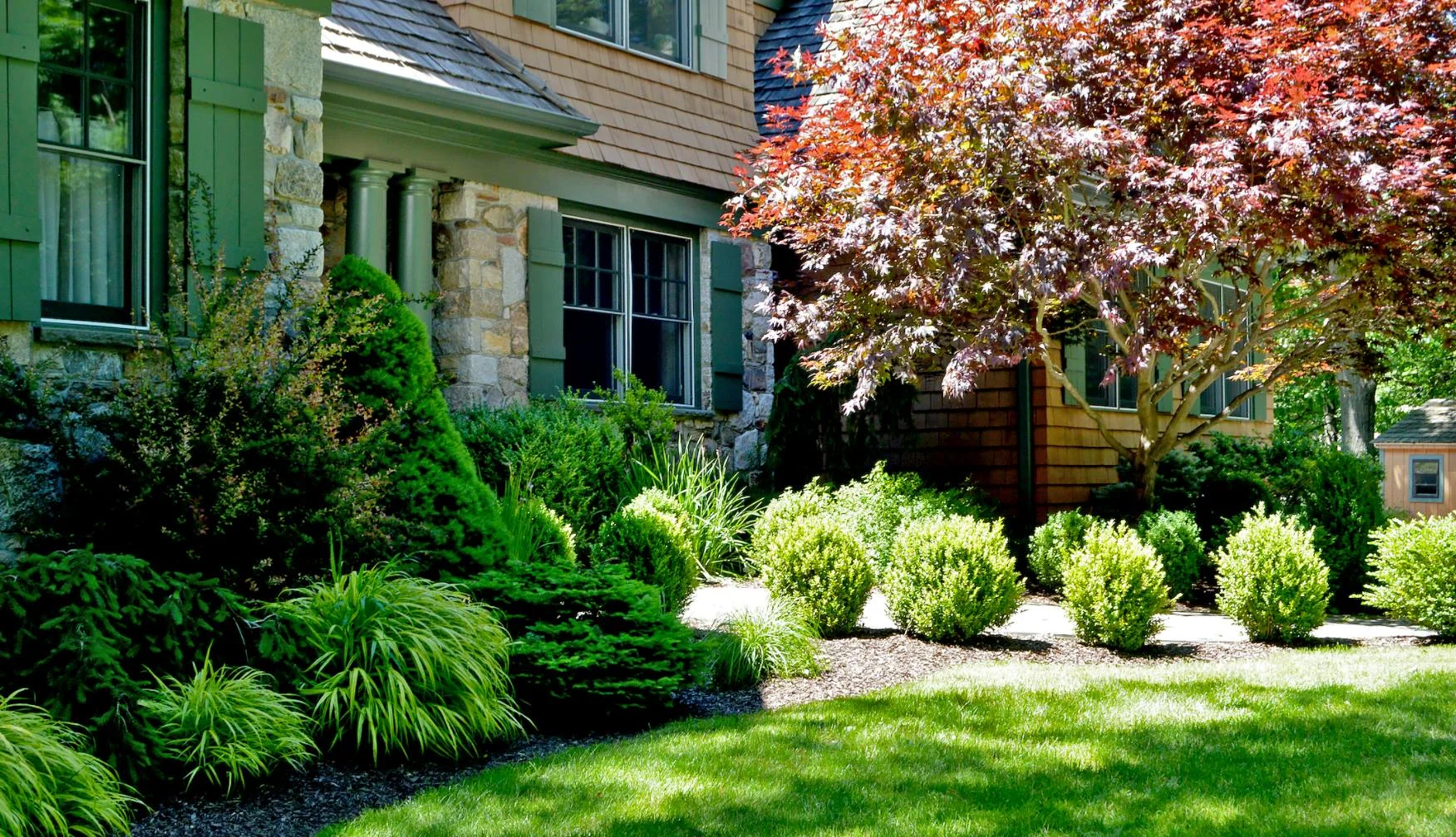 Tree & Shrub Planting in Westhartford project 1