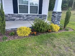 Tree & Shrub Planting in Westhartford project 5