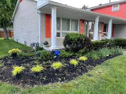 Tree & Shrub Planting in Westhartford project 6