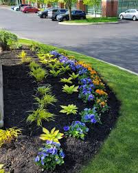 Tree & Shrub Planting in Westhartford project 7