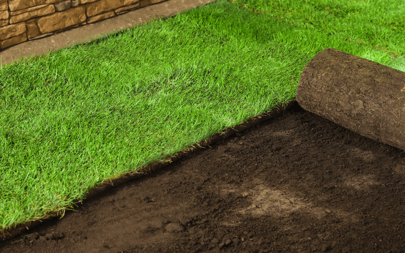 Sod Installation in Westhartford project 1