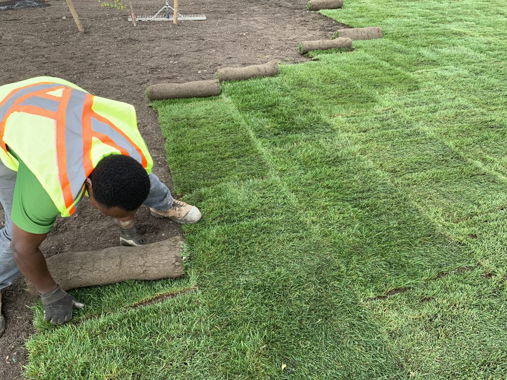 Sod Installation in Westhartford project 2