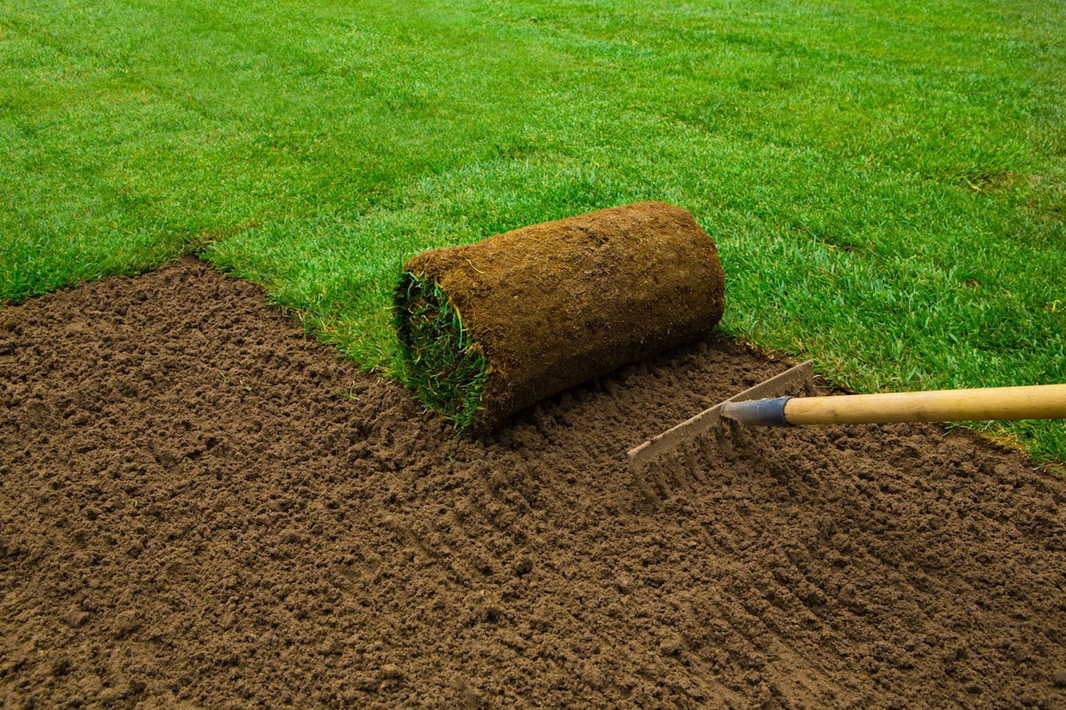 Sod Installation in Westhartford project 3