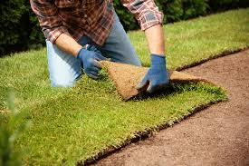 Sod Installation in Westhartford project 4