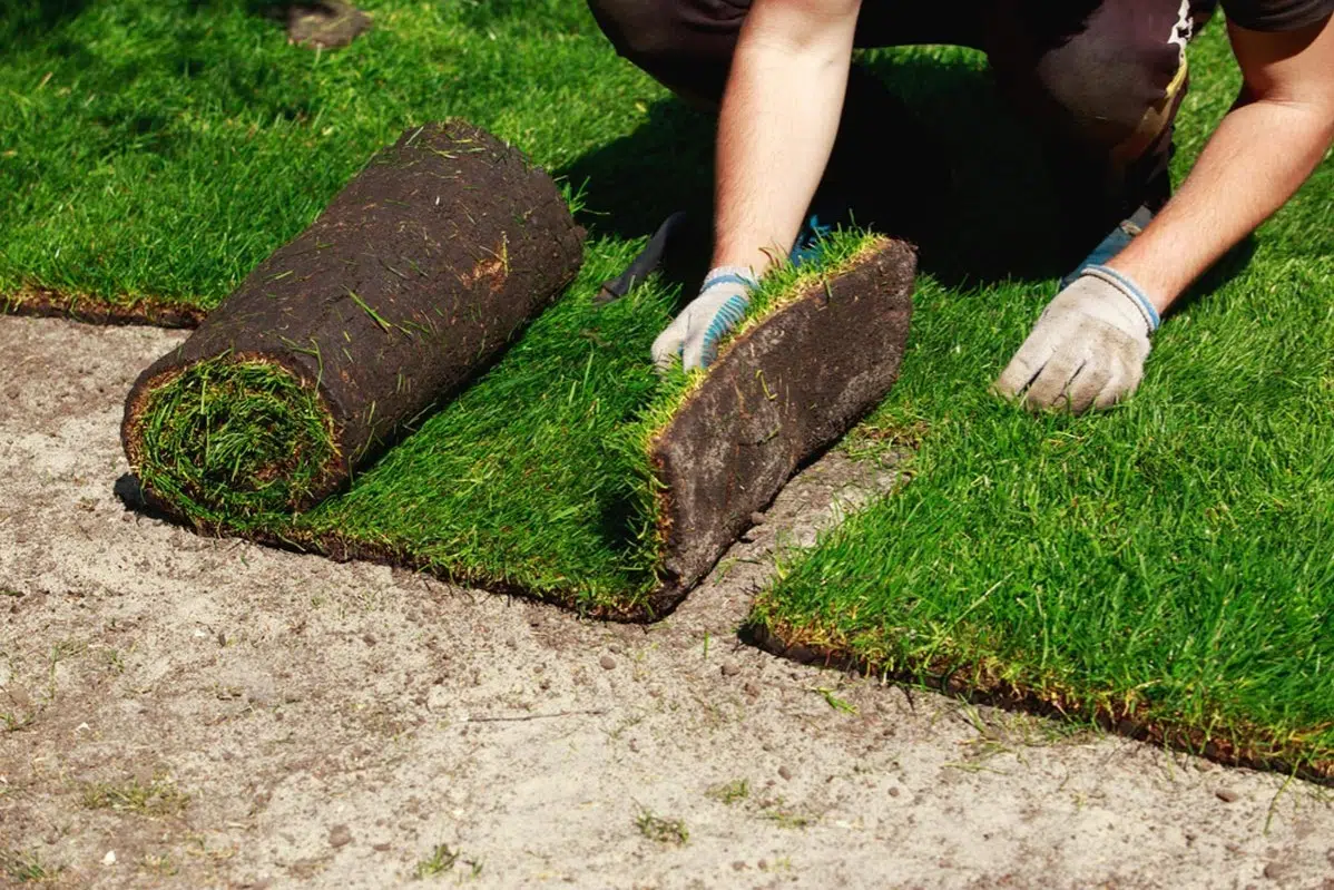 Sod Installation in Westhartford project 5