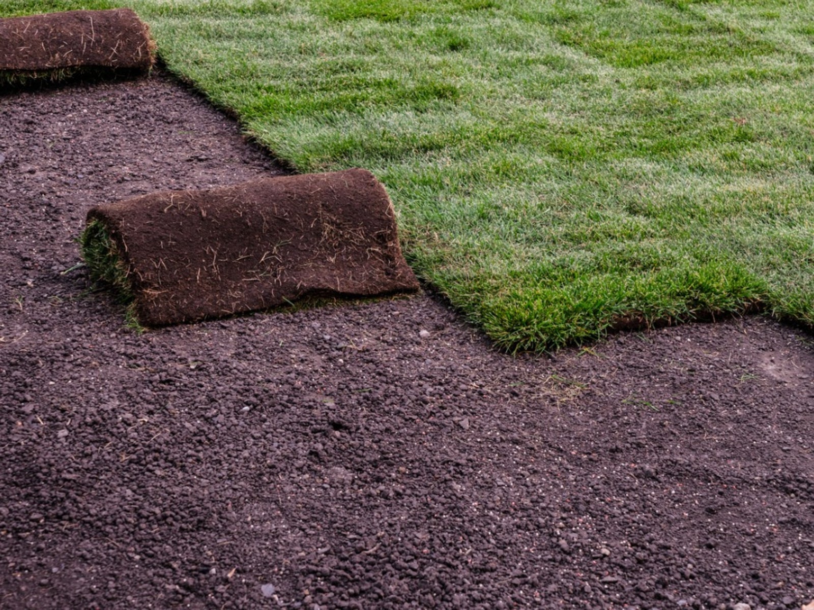 Sod Installation in Westhartford project 6